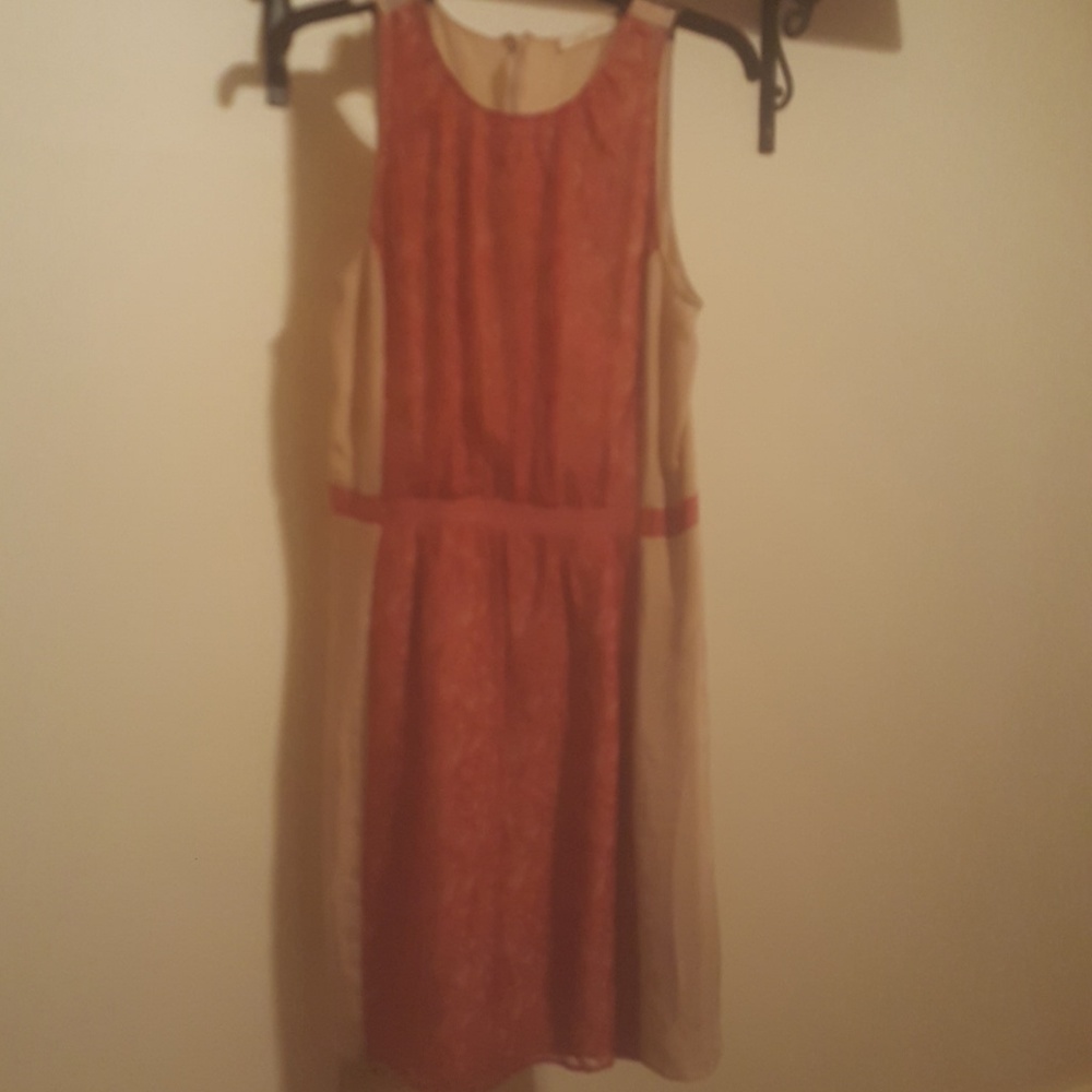 Size 4 Paper Crown Dress